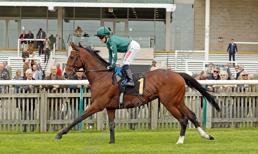 Blown-Away-0001 
 BLOWN AWAY (Hollie Doyle)
Newmarket 28 Sep 2023 - Pic Steven Cargill / Racingfotos.com