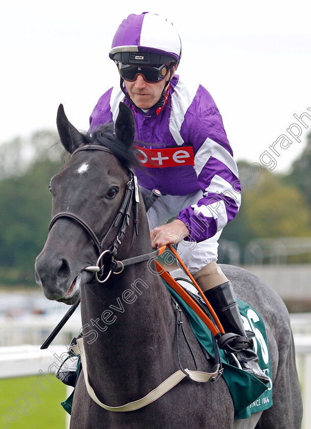 Pilgrim-0001 
 PILGRIM (Joe Fanning)
York 24 Aug 2023 - Pic Steven Cargill / Racingfotos.com