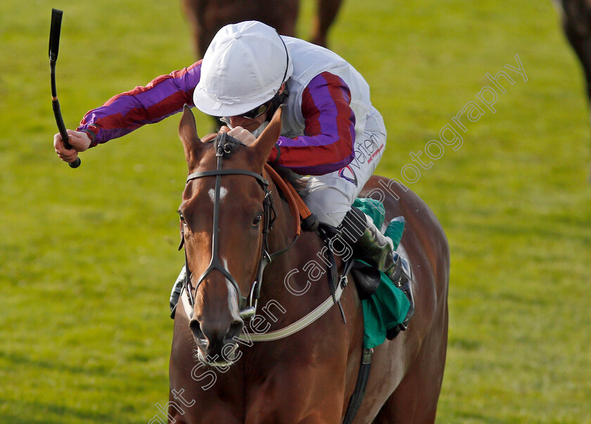 Laurens-0008 
 LAURENS (P J McDonald) wins The bet365 Fillies Mile Newmarket 13 Oct 2017 - Pic Steven Cargill / Racingfotos.com