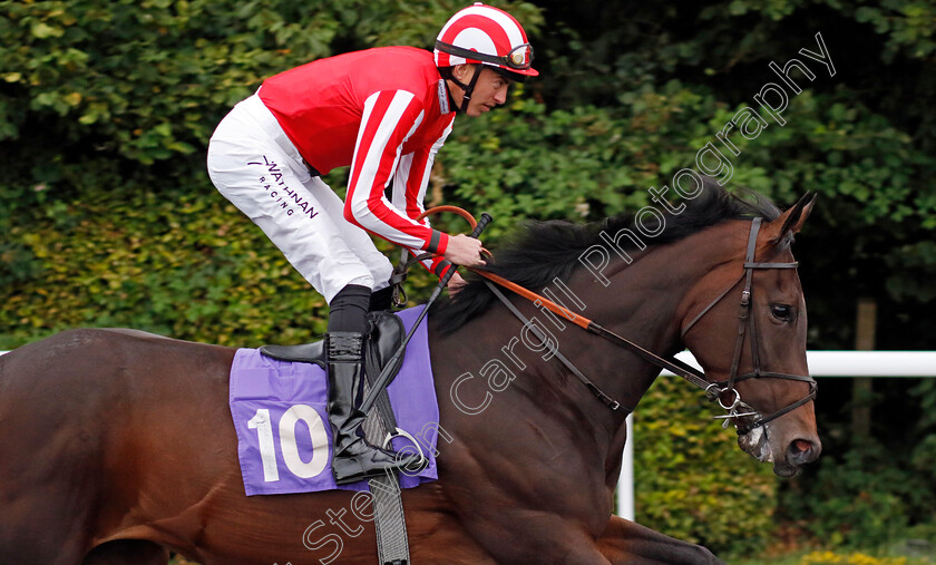 She s-A-Warrior-0001 
 SHE'S A WARRIOR (James Doyle)
Kempton 7 Aug 2024 - Pic Steven Cargill / Racingfotos.com