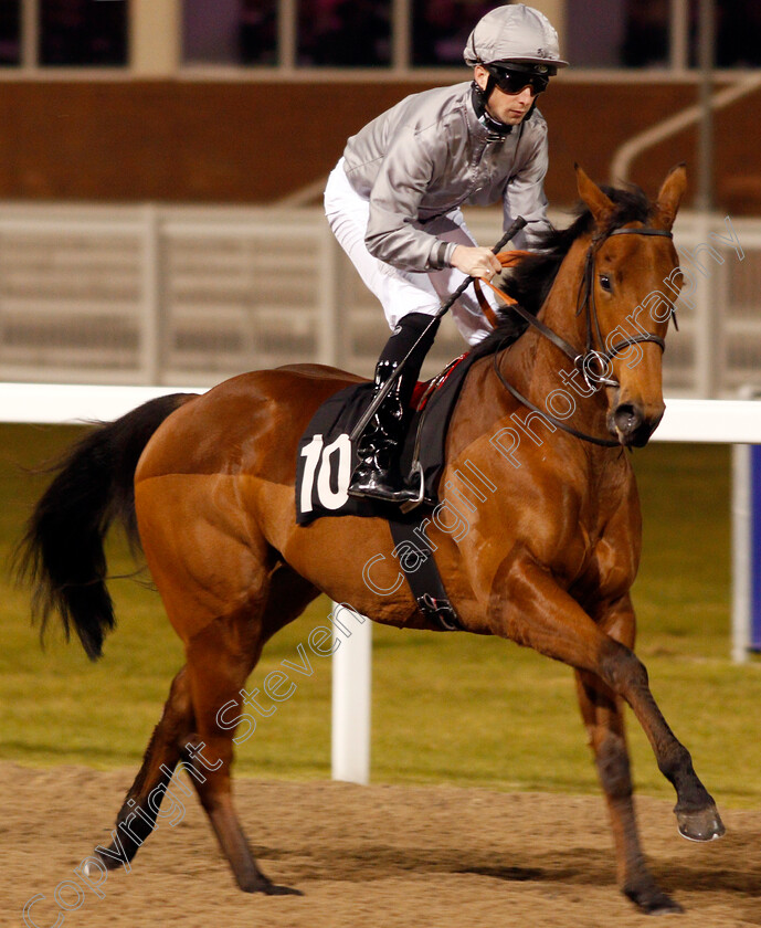 Queen-Of-Desire-0001 
 QUEEN OF DESIRE (Jack Mitchell) Chelmsford 1 Dec 2017 - Pic Steven Cargill / Racingfotos.com