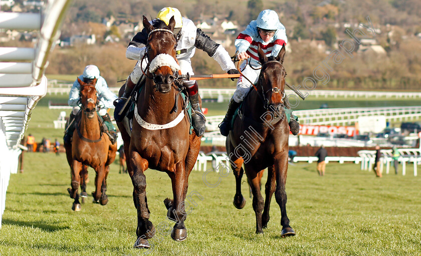 Western-Ryder-0001 
 WESTERN RYDER (Richard Johnson) wins The British Stallion Studs EBF National Hunt Novices Hurdle Cheltenham 15 Dec 2017 - Pic Steven Cargill / Racingfotos.com