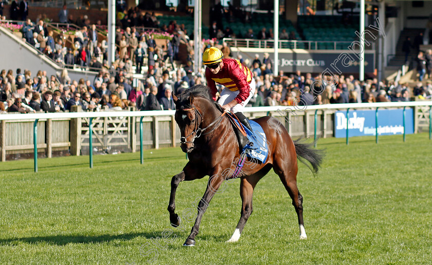 Iberian-0001 
 IBERIAN (Tom Marquand)
Newmarket 14 Oct 2023 - Pic Steven Cargill / Racingfotos.com