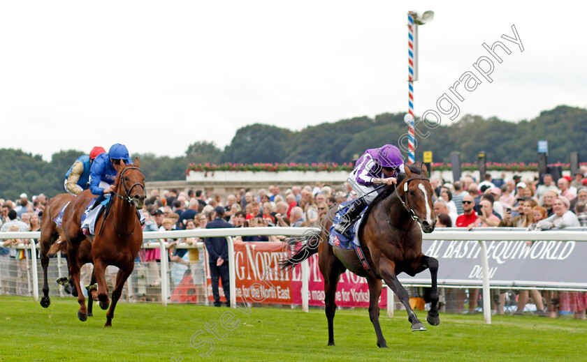 Continuous-0005 
 CONTINUOUS (Ryan Moore) wins The Sjy Bet Great Voltigeur Stakes
York 23 Aug 2023 - Pic Steven Cargill / Racingfotos.com