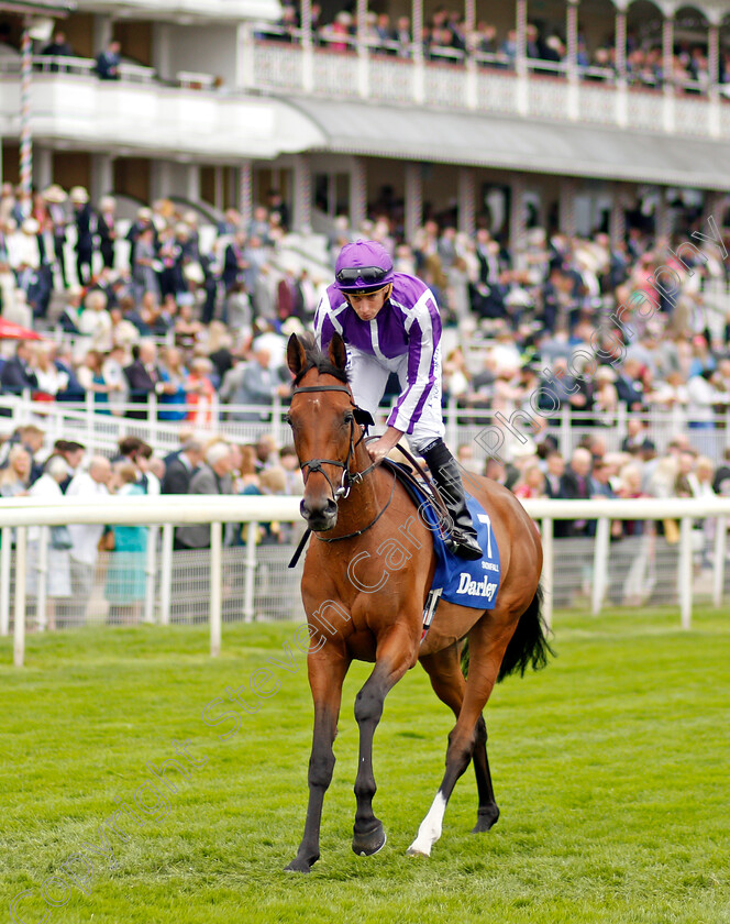 Snowfall-0004 
 SNOWFALL (Ryan Moore) winner of The Darley Yorkshire Oaks
York 19 Aug 2021 - Pic Steven Cargill / Racingfotos.com