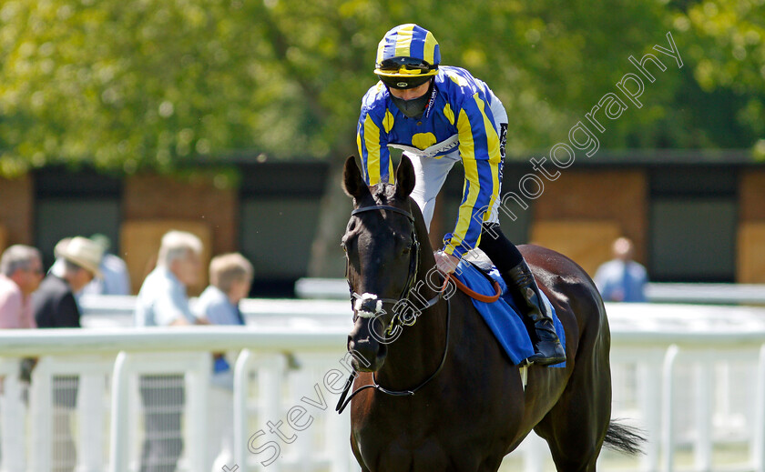 Poet s-Eye-0001 
 POET'S EYE (Daniel Muscutt)
Salisbury 8 Jun 2021 - Pic Steven Cargill / Racingfotos.com