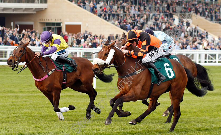 Northern-Beau-0002 
 NORTHERN BEAU (right, Richie McLernon) beats HAPPY DIVA (left) in The Thoroughbred Breeders Association Mares Handicap Chase
Cheltenham 18 Apr 2019 - Pic Steven Cargill / Racingfotos.com