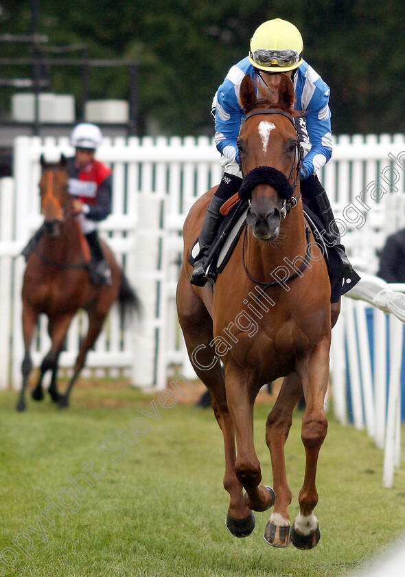 Narak-0012 
 NARAK (Harry Bentley)
Newbury 13 Jun 2019 - Pic Steven Cargill / Racingfotos.com