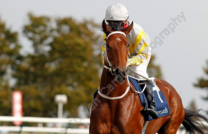 Habrdi-0001 
 HABRDI (Cieren Fallon)
Newmarket 7 Oct 2023 - Pic Steven Cargill / Racingfotos.com