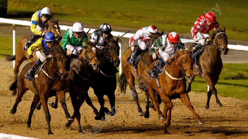 Zafaranah-0002 
 ZAFARANAH (right, Rob Hornby) beats ZORAYA (left) in The Ladbrokes Fillies Handicap 
Wolverhampton 7 Jan 2019 - Pic Steven Cargill / Racingfotos.com