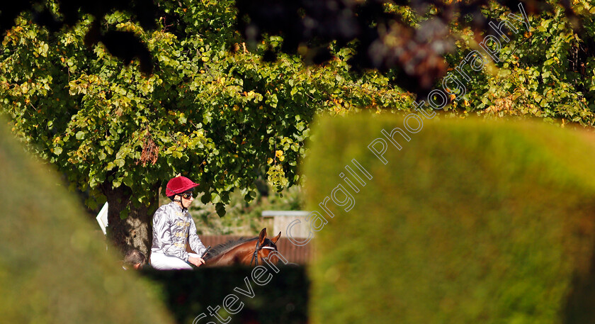 William-Buick-0001 
 William Buick on Medyaf in the parade ring before the first race
Nottingham 13 Oct 2021 - Pic Steven Cargill / Racingfotos.com