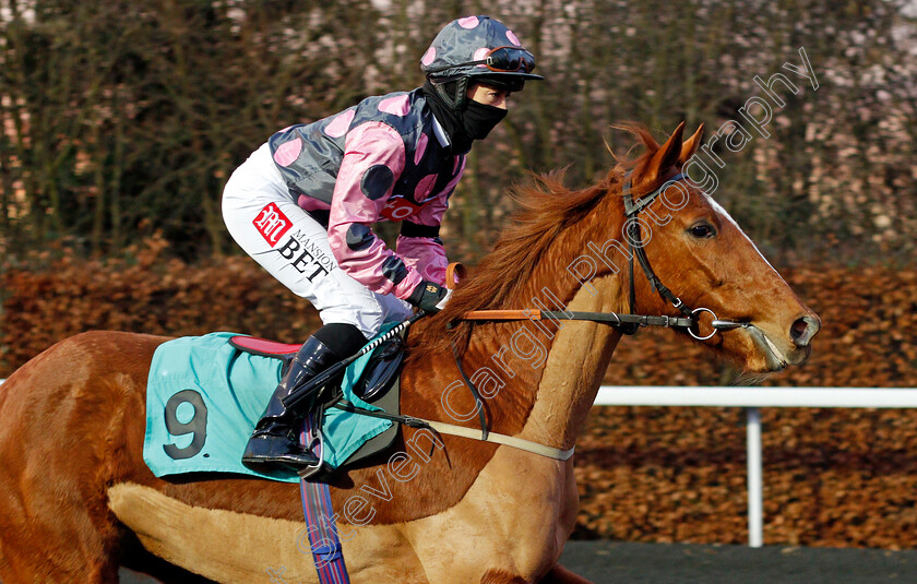 Cloudy-Rose-0001 
 CLOUDY ROSE (Hayley Turner)
Kempton 3 Feb 2021 - Pic Steven Cargill / Racingfotos.com