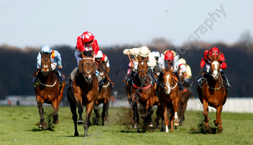 Gorak-0006 
 GORAK (Callum Shepherd) wins The Music Live @ Doncaster Racecourse Handicap
Doncaster 2 Apr 2023 - Pic Steven Cargill / Racingfotos.com