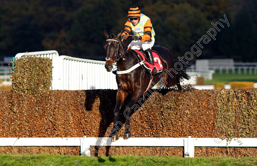 Might-Bite-0004 
 MIGHT BITE (Nico de Boinville) wins The 188bet Future Stars Intermediate Chase Sandown 12 Nov 2017 - Pic Steven Cargill / Racingfotos.com