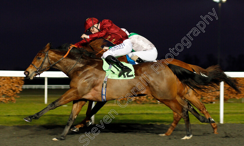 Worship-0003 
 WORSHIP (Oisin Murphy) wins The Cindy Fuller Novice Median Auction Stakes Kempton 20 Dec 2017 - Pic Steven Cargill / Racingfotos.com