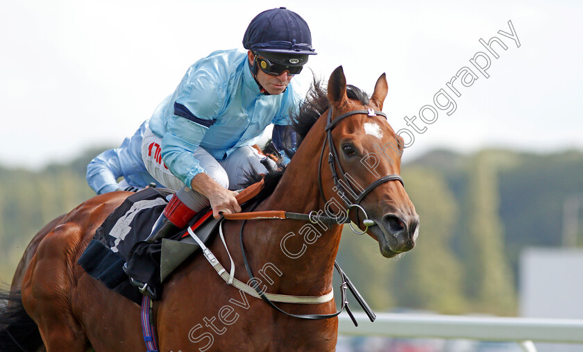 Thunderous-0006 
 THUNDEROUS (Franny Norton) wins The Denford Stakes 
Newbury 17 Aug 2019 - Pic Steven Cargill / Racingfotos.com