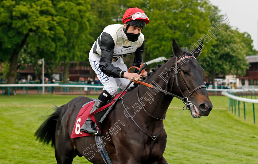 Sea-King-0001 
 SEA KING (Luke Morris)
Haydock 28 May 2021 - Pic Steven Cargill / Racingfotos.com