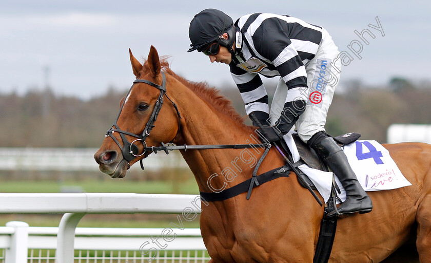 The-King-Of-Ryhope-0001 
 THE KING OF RYHOPE (Harry Skelton)
Ascot 17 Feb 2024 - Pic Steven Cargill / Racingfotos.com