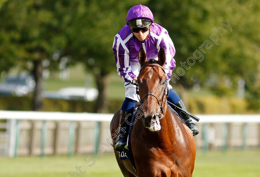 Trident-0002 
 TRIDENT (Mickael Barzalona)
Newmarket 23 Sep 2021 - Pic Steven Cargill / Racingfotos.com