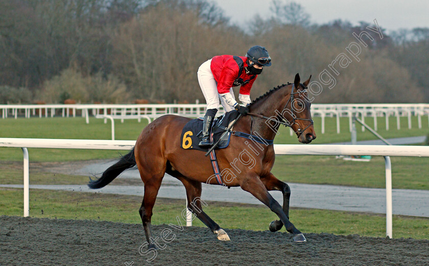 Lady-Of-Authority-0001 
 LADY OF AUTHORITY (Georgia Dobie)
Kempton 16 Feb 2021 - Pic Steven Cargill / Racingfotos.com