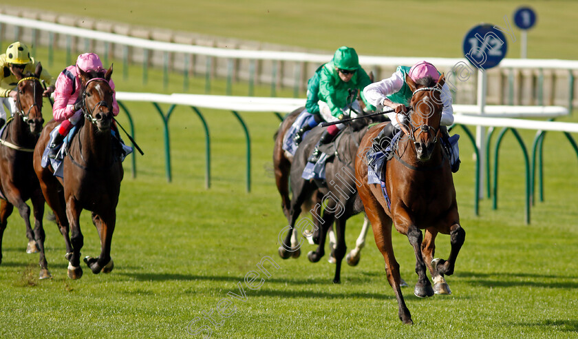 Time-Lock-0005 
 TIME LOCK (Ryan Moore) wins The Princess Royal Al Basti Equiworld Dubai Stakes
Newmarket 29 Sep 2023 - Pic Steven Cargill / Racingfotos.com