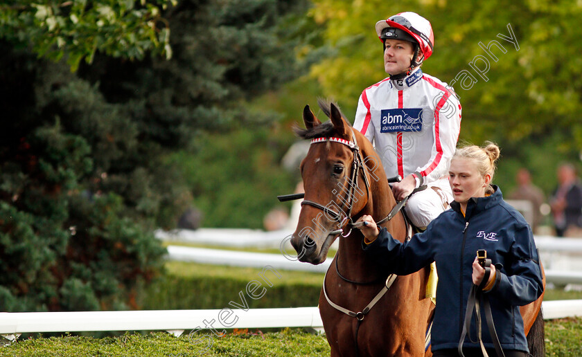 HMS-President-0001 
 HMS PRESIDENT (Tom Queally)
Kempton 9 Oct 2091 - Pic Steven Cargill / Racingfotos.com