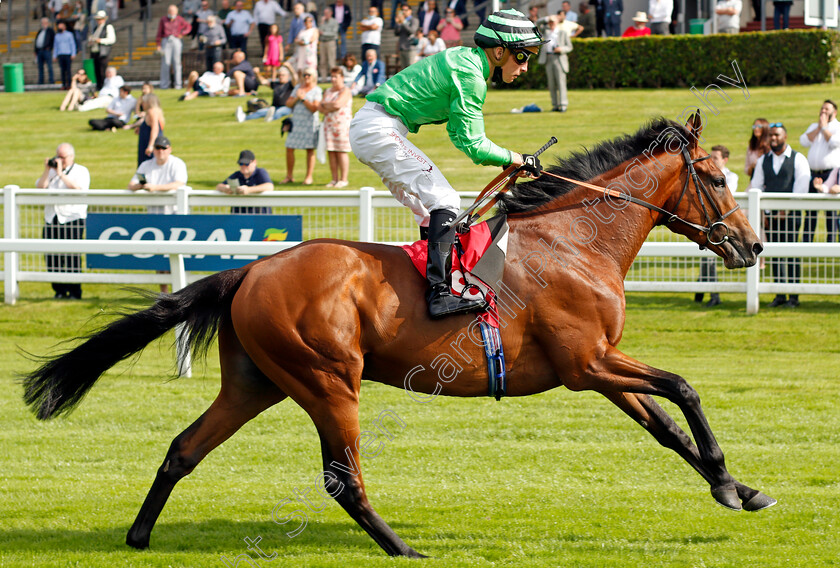 Vino-Victrix-0007 
 VINO VICTRIX (Jason Watson) wins The Davies Group Handicap
Sandown 2 Jul 2021 - Pic Steven Cargill / Racingfotos.com