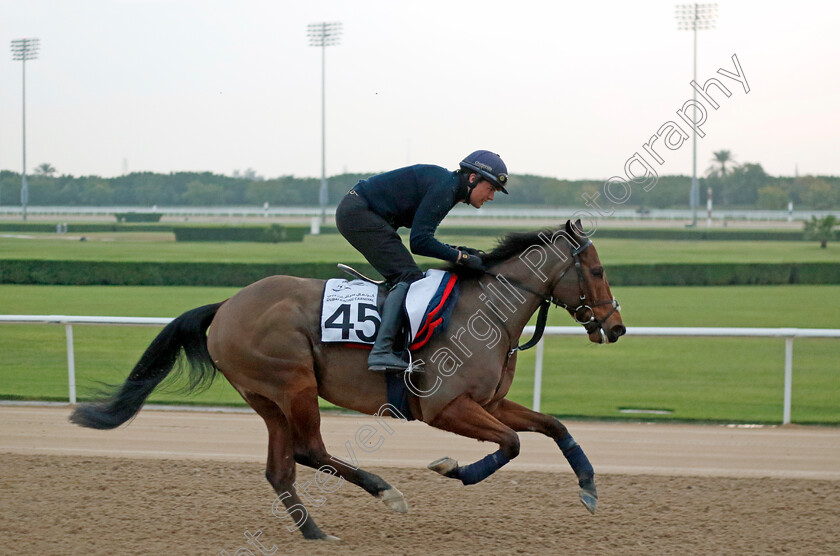 Equality-0001 
 EQUALITY training at the Dubai Racing Carnival
Meydan 1 Feb 2024 - Pic Steven Cargill / Racingfotos.com