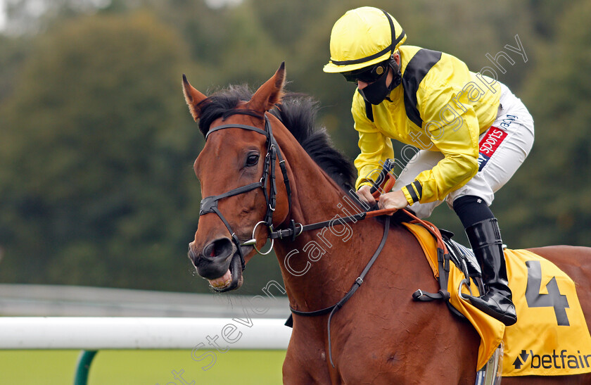 Midrarr-0002 
 MIDRARR (Hollie Doyle)
Haydock 5 Sep 2020 - Pic Steven Cargill / Racingfotos.com