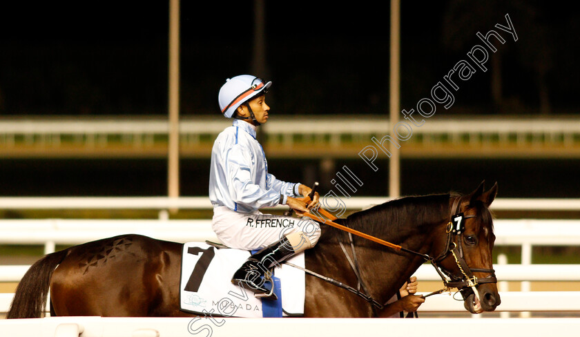 Rio-Tigre-0001 
 RIO TIGRE (Royston Ffrench) Meydan 18 Jan 2018 - Pic Steven Cargill / Racingfotos.com