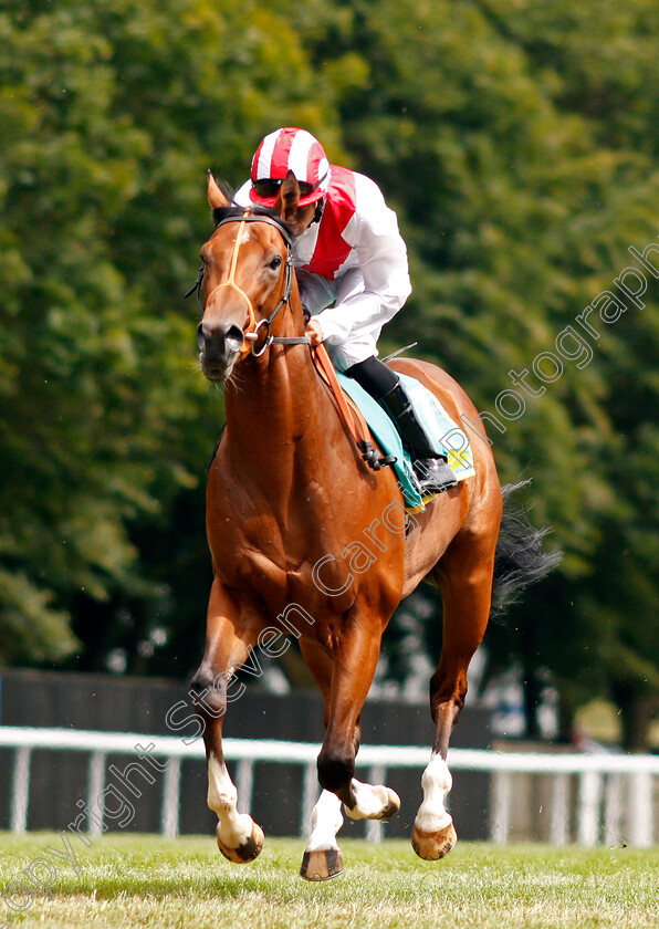 Wild-Thunder-0001 
 WILD THUNDER (Sean Levey)
Newmarket 13 Jul 2019 - Pic Steven Cargill / Racingfotos.com