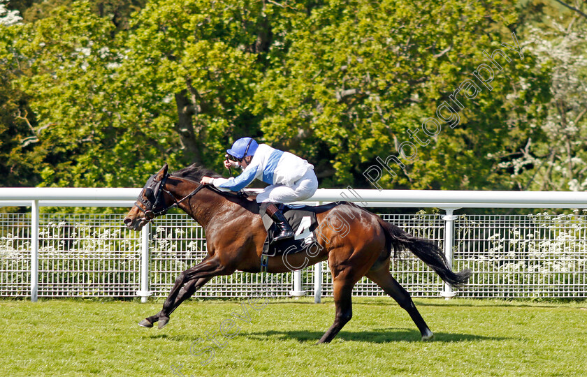 Ropey-Guest-0001 
 ROPEY GUEST (Tom Queally) wins The William Hill Extra Place Races Daily Handicap
Goodwood 26 May 2023 - Pic Steven Cargill / Racingfotos.com