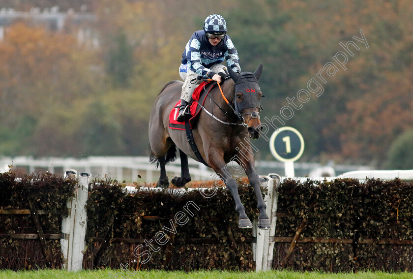 Booster-Bob-0001 
 BOOSTER BOB (Sean Bowen) wins The Betfair Claremont Novices Hurdle
Sandown 9 Dec 2023 - Pic Steven Cargill / Racingfotos.com