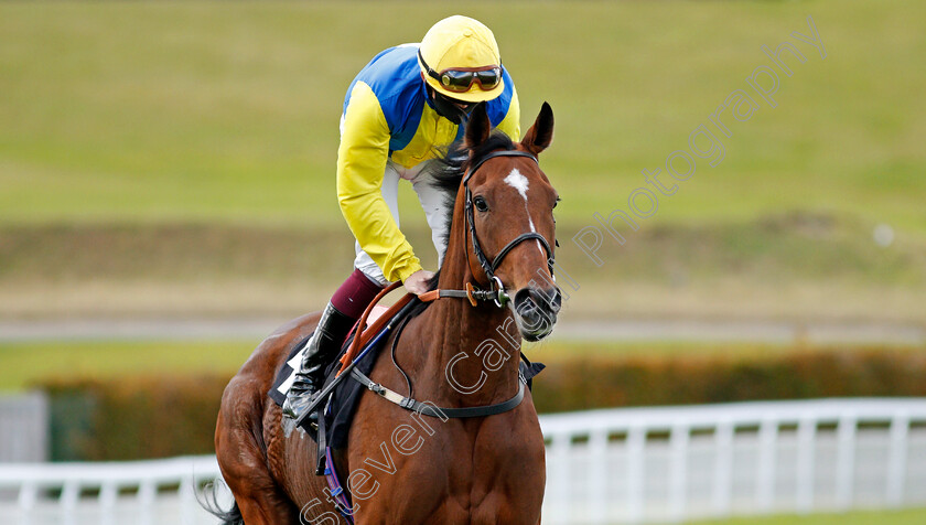 Orin-Swift-0001 
 ORIN SWIFT (Richard Kingscote)
Goodwood 11 Oct 2020 - Pic Steven Cargill / Racingfotos.com