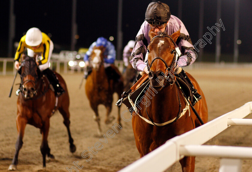 Asdaa-0005 
 ASDAA (Joe Fanning) wins The Bet toteexacta At totesport.com Handicap
Chelmsford 11 Jan 2020 - Pic Steven Cargill / Racingfotos.com