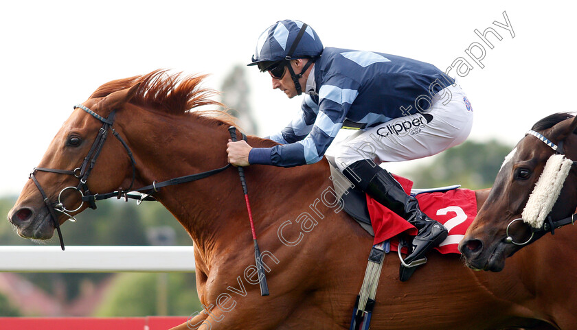 My-Boy-Sepoy-0007 
 MY BOY SEPOY (Daniel Tudhope) wins The Matchbook Betting Exchange Handicap
Sandown 23 May 2019 - Pic Steven Cargill / Racingfotos.com