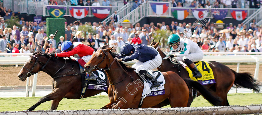 Inspiral-0002 
 INSPIRAL (Frankie Dettori) beats WARM HEART (right) in The Breeders' Cup Filly & Mare Turf
Santa Anita 4 Nov 2023 - Pic Steven Cargill / Racingfotos.com