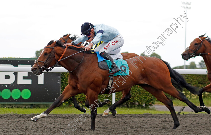 Drama-0003 
 DRAMA (Tom Marquand) wins The Unibet More Boosts In More Races Handicap
Kempton 12 Jun 2024 - Pic Steven Cargill / Racingfotos.com