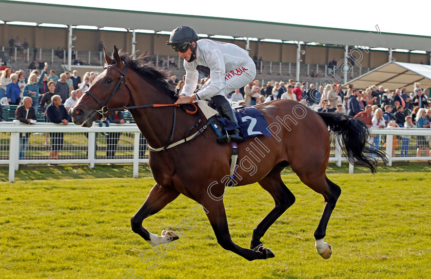 Bake-0007 
 BAKE (Tom Marquand) wins The Download The Quinnbet App Median Auction Maiden Stakes
Yarmouth 14 Jul 2021 - Pic Steven Cargill / Racingfotos.com