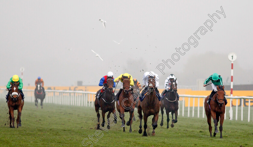 Banna-0002 
 BANNA (right, James Doyle) wins The Betfair Each Way Edge Novice Stakes
Doncaster 7 Nov 2020 - Pic Steven Cargill / Racingfotos.com