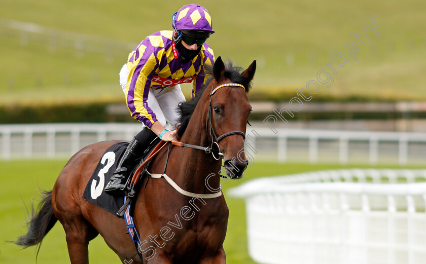 In-The-Breeze-0001 
 IN THE BREEZE (Thomas Greatrex)
Goodwood 28 Aug 2020 - Pic Steven Cargill / Racingfotos.com