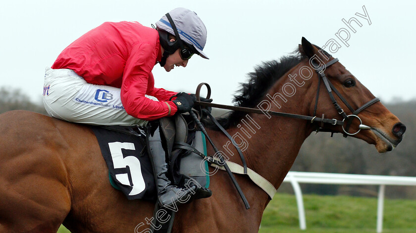 Our-Merlin-0001 
 OUR MERLIN (Stan Sheppard)
Newbury 22 Mar 2019 - Pic Steven Cargill / Racingfotos.com