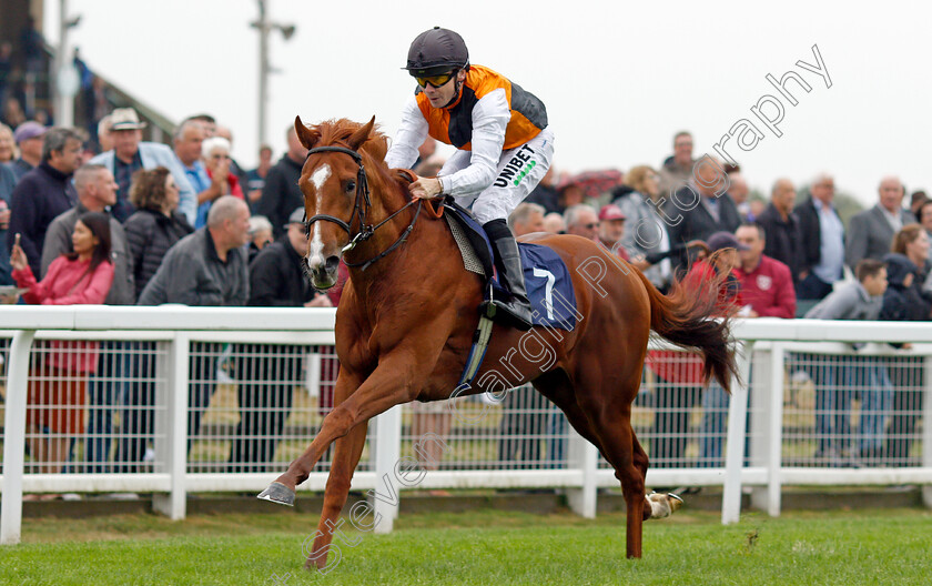 Light-Infantry-0005 
 LIGHT INFANTRY (Jamie Spencer) wins The British Stallion Studs EBF Novice Stakes
Yarmouth 14 Sep 2021 - Pic Steven Cargill / Racingfotos.com