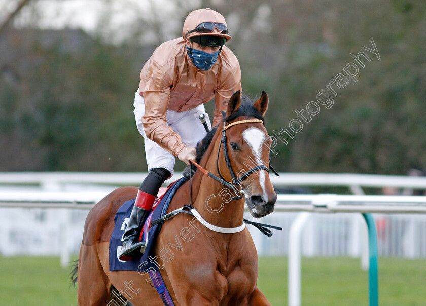 Dal-Mallart 
 DAL MALLART (Martin Harley)
Lingfield 1 Dec 2021 - Pic Steven Cargill / Racingfotos.com