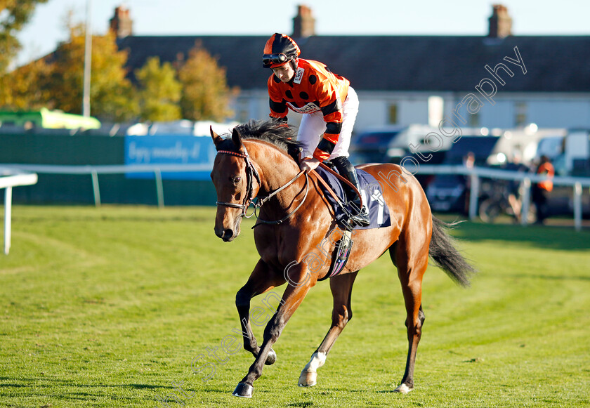 Equiami-0001 
 EQUIAMI (Adam Farragher)
Yarmouth 18 Oct 2022 - Pic Steven Cargill / Racingfotos.com