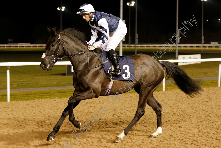 Debbonair-0001 
 DEBBONAIR (Ben Curtis)
Wolverhampton 26 Feb 2019 - Pic Steven Cargill / Racingfotos.com