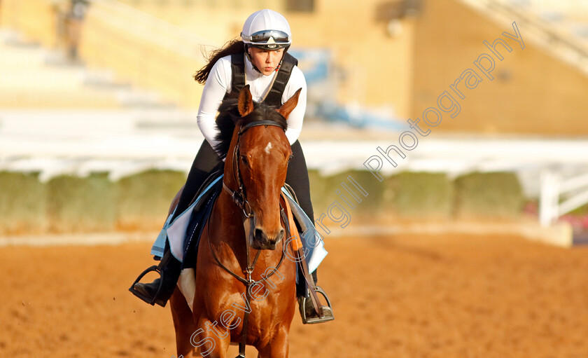 Stronger-Together-0002 
 STRONGER TOGETHER training for The International Handicap
King Abdulaziz Racecourse, Kingdom of Saudi Arabia, 22 Feb 2023 - Pic Steven Cargill / Racingfotos.com