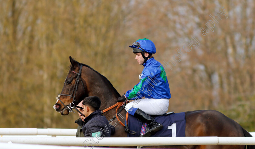 King-Cabo-0001 
 KING CABO (Ethan Jones)
Lingfield 7 Mar 2024 - Pic Steven Cargill / Racingfotos.com