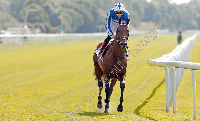 Bangkok-0001 
 BANGKOK (James Doyle)
York 24 Aug 2019 - Pic Steven Cargill / Racingfotos.com