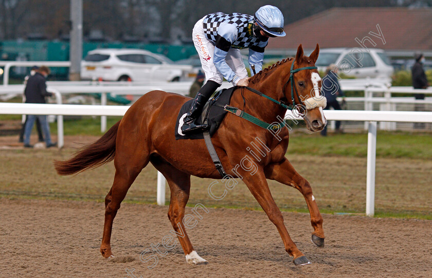 Fircombe-Hall-0001 
 FIRCOMBE HALL (Rossa Ryan)
Chelmsford 27 Nov 2021 - Pic Steven Cargill / Racingfotos.com